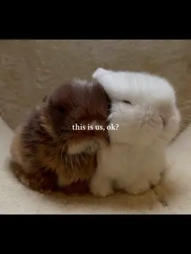 bleh hai baby @ilovelittlemamas14 c: surprise post yipee everyn throws confetti i love u my dum husband u r so cute n dum n mwah ily shhh #ilovemybf #happilymarried #fyp #thisisus #bunnies yes ok mwah love u stinkie 