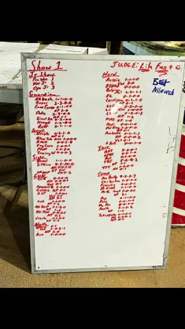 Let’s go to a dog show. The junior handlers were so much fun to watch! #dogshow #epagneulbreton #cedarcreekkennels #corsicanatx #ukc 