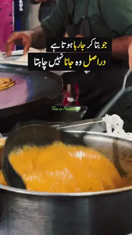 دراصل وہ جانا نہیں چاہتا  #growmyaccount #unfreezemyaccount #caption #islamabad #tea 