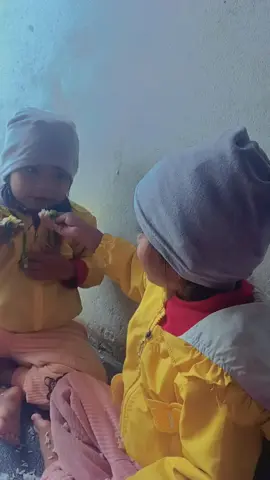 दिदीबहिनीको माया#@{2079-03-29} #twinsmamu🙏 #tanahunmuser 