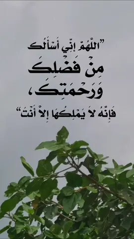 اللهم إني أسألك من فضلك ورحمتك فأنه لايملكها الا انت #دعاء #اذكروا_الله #اكسبلور #صباح_الخير #سبحان_الله_والحمدلله_ولا_إله_إلا_الله_والله_اكبر 