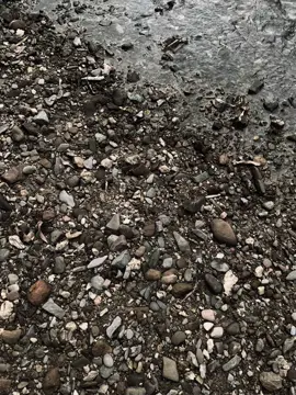 #xuhuong “别试图留住一颗不再属于你的心..!