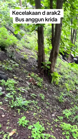 Kecelakaan #fypシ #kecelakaan#arak2 #bus #bondowoso #