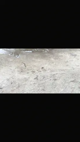 #exdangma72 #xhungtiktok 