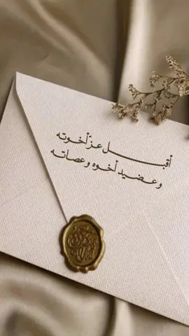 #مولود #مواليد #بشارة_مولود #دعوات_الكترونيه #tiktok 