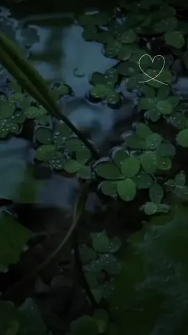 #CapCut #paratiiiiiiiiiiiiiiiiiiiiiiiiiiiiiii #