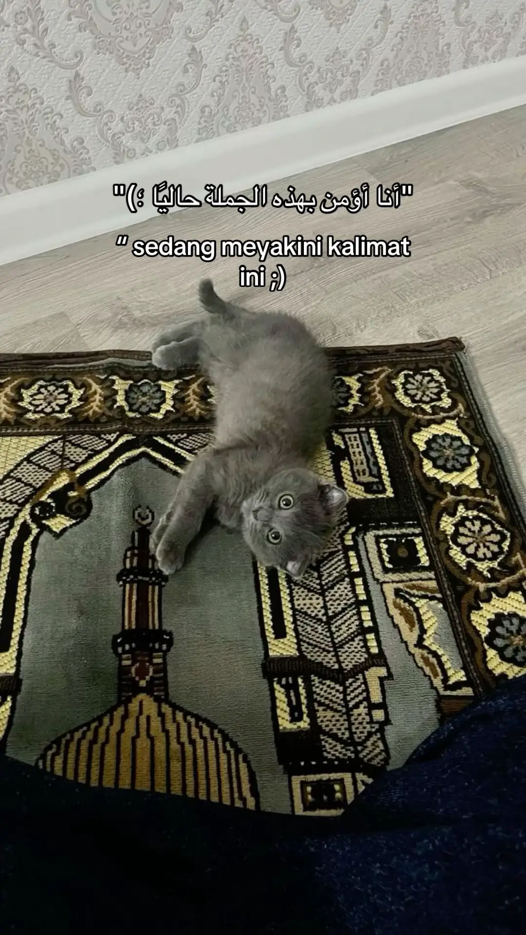 #quotesaesthetic #reminderislamic #fyp #quotestory #foryou 