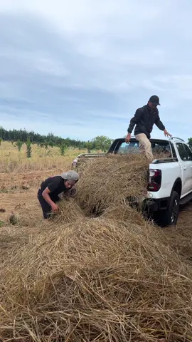 Làm ra làm chơi ra chơi😎