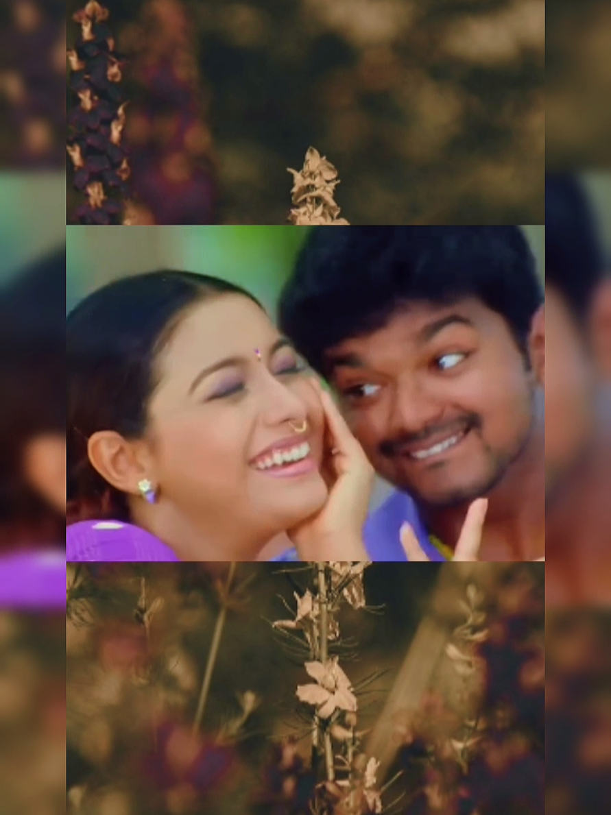 #bambarakannu #madurey #thalapathyvijay #rakshitha #foryou ❤️❤️❤️