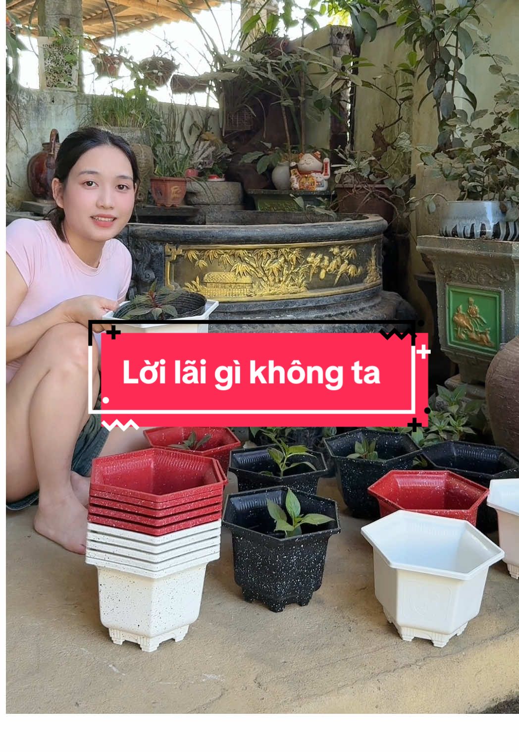 Không nghĩ rẻ vậy luôn #chaunhua #chaunhuatrongcay #xuhuong #chianhnhacua 