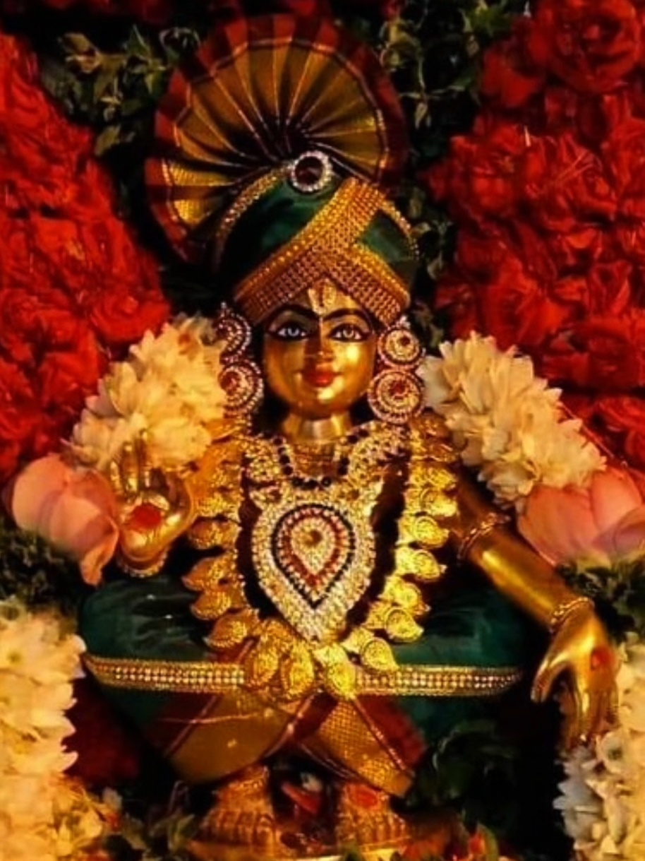 Swami Appa Ayyappa🖤📿 #ayyappa #ayyappaswami #ayyappan #urumi #thecalmtemple 
