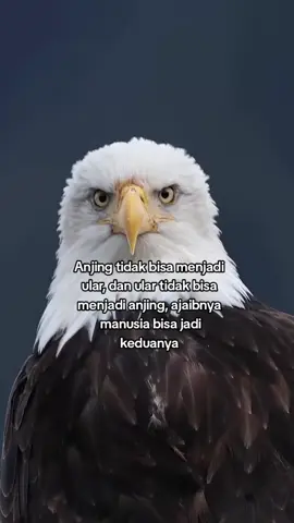 #fypシ゚ #quotes #xybca 