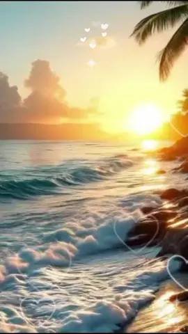 Bom dia Deus, hoje é domingo pai e o meu coração desperta em paz porque o senhor tem cuidado de mim em cada detalhe, amém 🙏! Oração, bençãos, proteção, livramentos e gratidão! Motivação e fé #reflexão #Viral #fypシ ! Te desejo um domingo leve ,cheio de paz e da presença de Deus 🙏🙌!@rose-mineirinha🫶💯 Jesus🇧🇷 