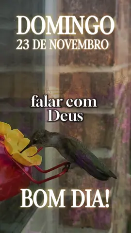 Bom dia domingo 🙏🏻❤️. #bomdia #oração #fé #reflexão #bençãos 