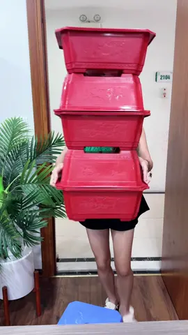 [Combo 5 cái ] Chậu Chữ Nhật Bonsai, trồng cây… #xuhuong #chautrongcay #chaucaybonsai #huyenhomhinh365 