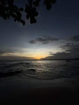 già cùng anh được không ?