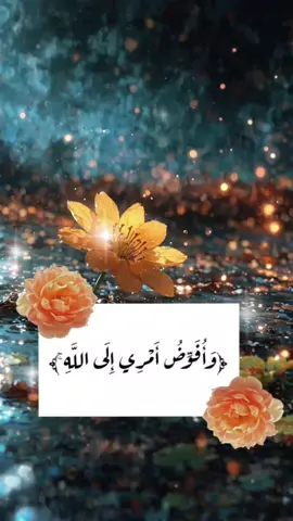 #الغائب_الحاضر #مجد #الزين  #وما الدنيا الا متاع #الغرور