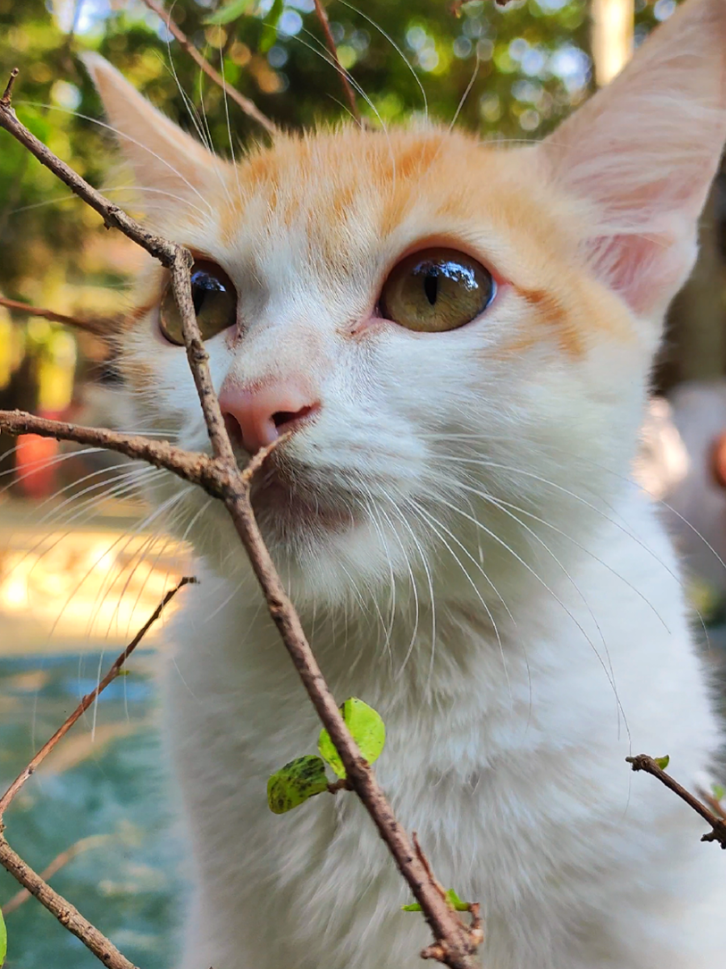 প্রেয়সী 😫🎀#foryou #foryoupage #vairal #tranding @TikTok Bangladesh @Bd tiktok official 