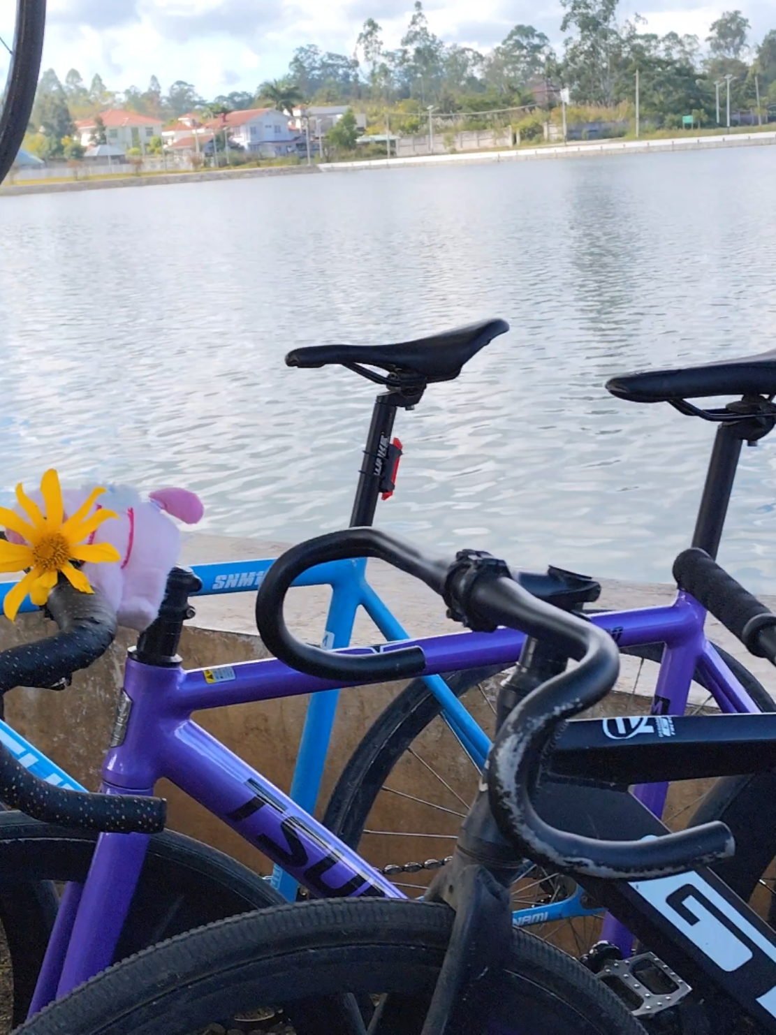 x COLLECTION  #sabbathcrew #pol #fixedgear 