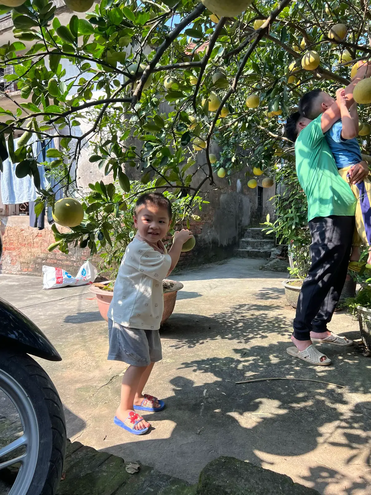 Chúc bạn trên con đường khôn lớn ... yêu bạn nhiều 