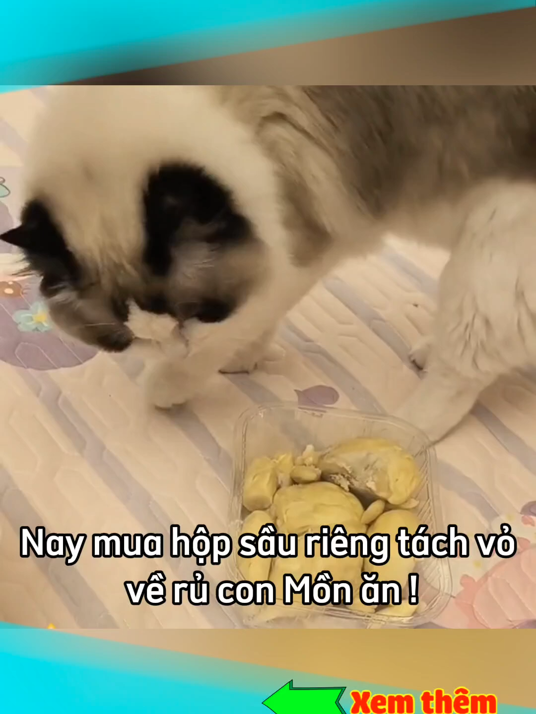 Hết ăn luôn 😅 #laonap