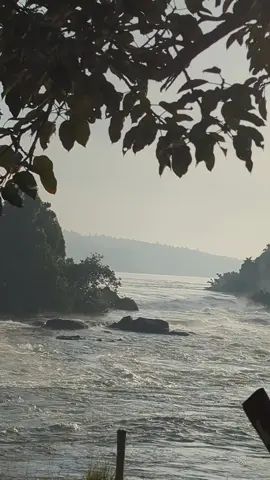 Nyege Nyege festival Live #foyppppppppppppppppppppppppppppppppppppppppp 