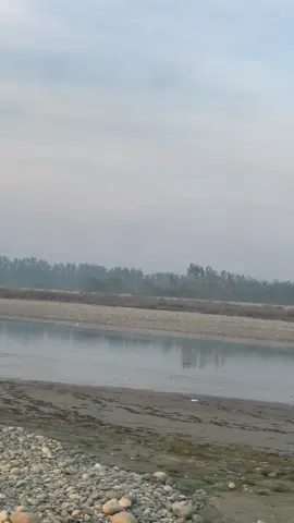 ہمیشہ ان لوگوں کا چناو کرے جن کو عزت دینے پر وہ خود سے بڑھ کر آپ کو عزت دے 🩶 #fyp #fayazkhankheshgi #haroonbacha #ghanikhanbabapoetry #creatorsearchinsights 