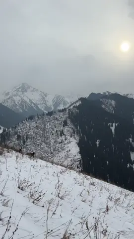 #камри❤️#рекомендации❤️ 