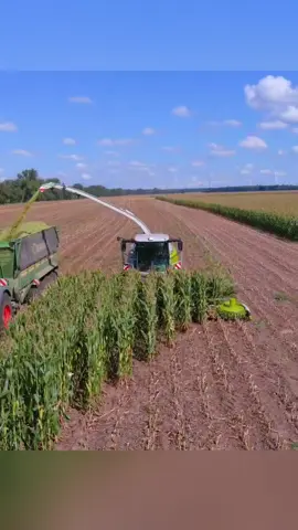 chúc mọi người nghe nhạc thư giãn vui vẻ.!!