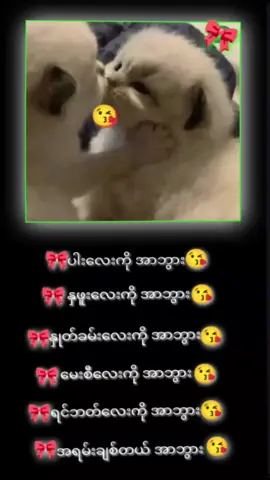 #😘😘😘😘😘😘တစ်ကိုယ်လုံးအာဘွားကွာ😘😘😘😘😘 အရမ်းချစ်တယ်အာဘွား😘😘😘😘🤪🤪