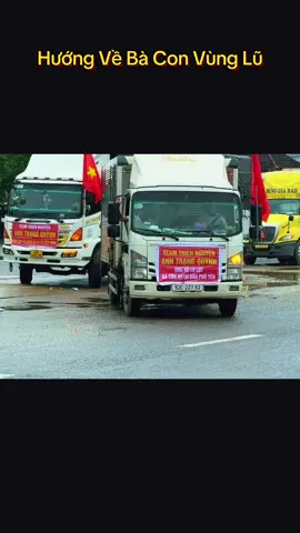 Tôi Yêu Tổ Quốc Tôi ❤️🇻🇳#lulutmientrung #dongbaovietnam #bao14 #bao13 #trending 