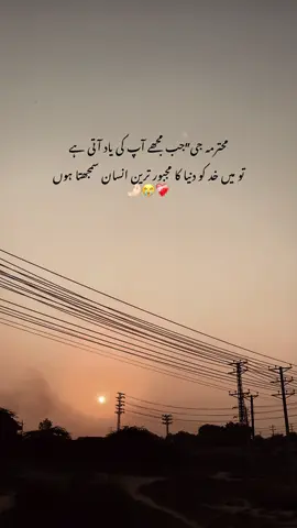 بہت یاد آتی ہے أپ کی جاناں❤️‍🩹🥺@Rana Touheed🫀⚜️🪽 