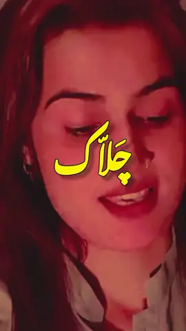 بہوں لوگ چلاک تے چترے ہن۔۔۔  tiktok team please unfrezz my account#aliyagraphy123 #foryou #foryoupage #saivragraphy #1millionaudition 