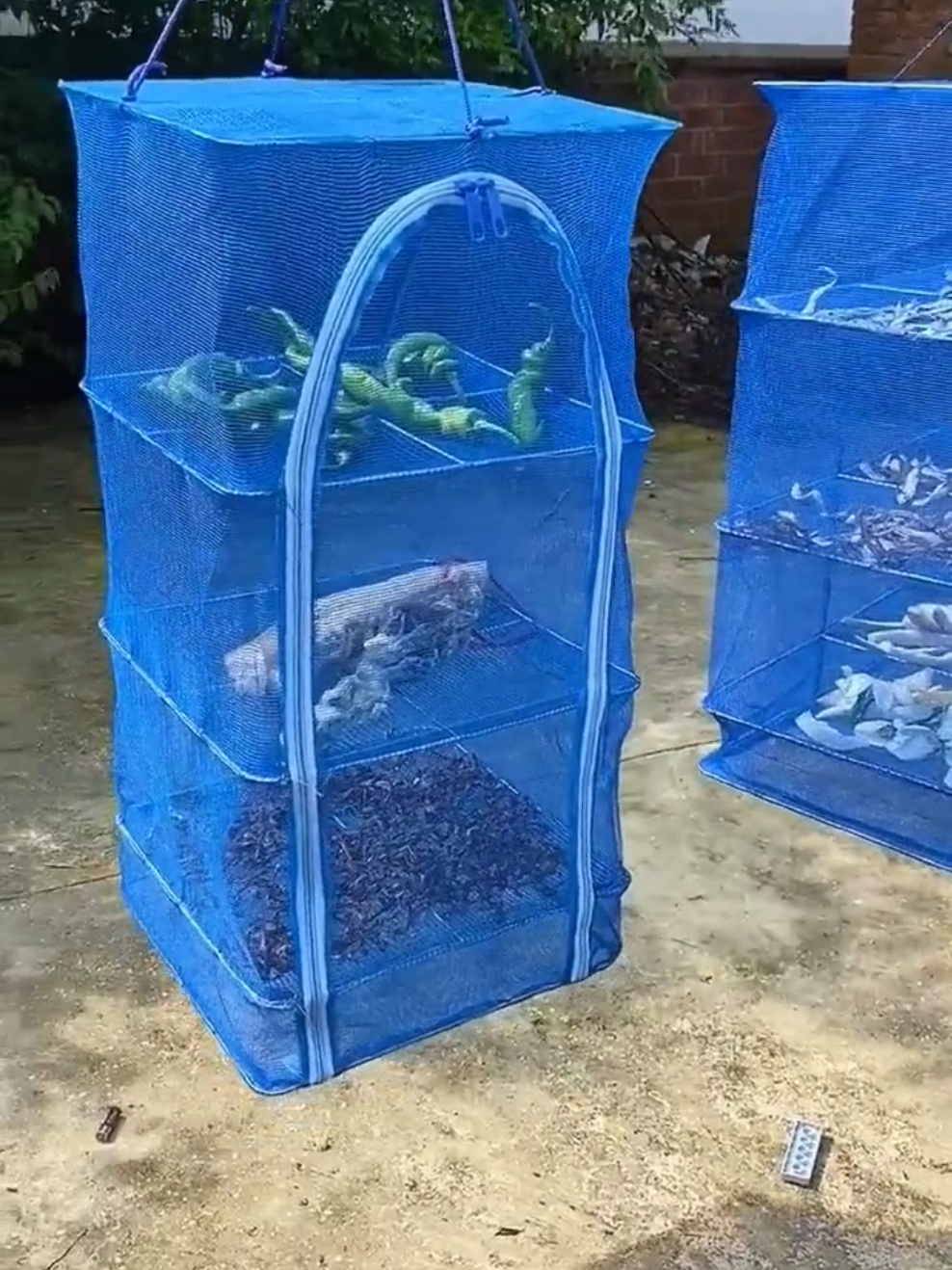 Lồng lưới phơi khô #tienich #dogiadung #giadungtienich #giadungtienich779 