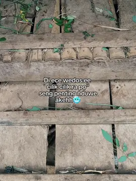 #fyppppppppppppoooシ゚viral #peternakmuda #CapCut 