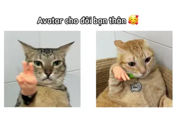 ảnh đại diện cho đôi bạn thân 🥰 