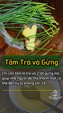 Tâm lá tre + 2 lát gừng: Mẹo dân gian cực hiệu quả #meodangian #tamtregung #cachlamgiadinh   #kienthucvoich #suckhoekhoemoi #kienthucsuckhoe   #songkhoe #xuhuongtiktok #reelsvn #tiktokviet