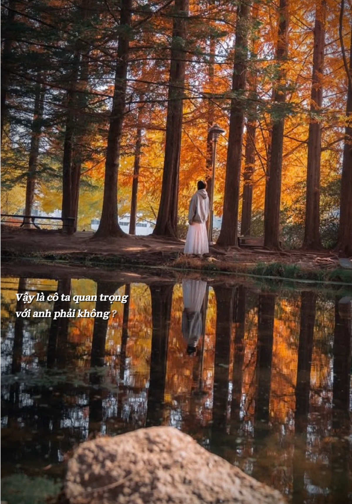 Nhường lại nỗi đau#nhuonglainoidau #ngannganofficial #tamtrang #xuhuong #CapCut 