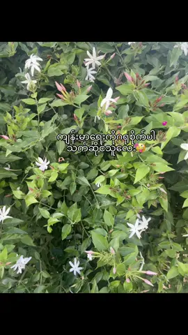 @L နော်ချစ်သူလေး😝#fyp #foryou #kiki #forupage 