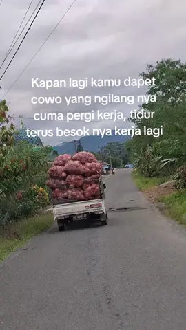 cuman gila kerja bukan gila perempuan😊#fyppppp #otosayur #drivermuda #lintaspalunapu #lewatberandafyp @nurrr💃 