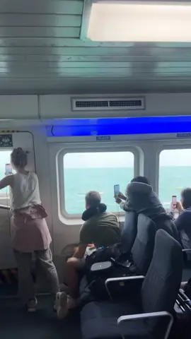 ferry crossing koh tao >> koh samui in november #kohsamui #kohtao #thailand #fyp #jet2holiday 