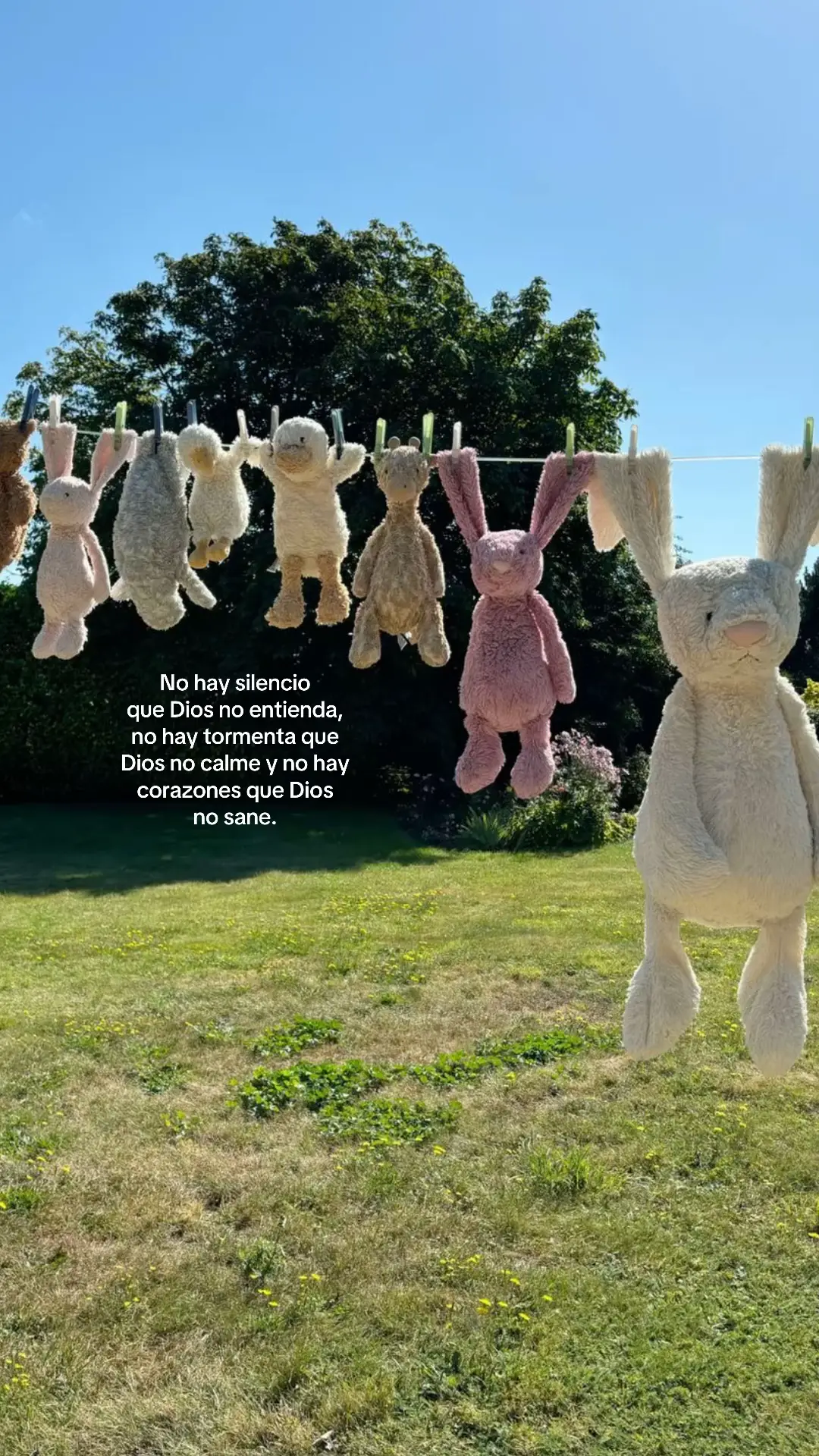 Un abrazo para ti esta noche #Viral #fyp 