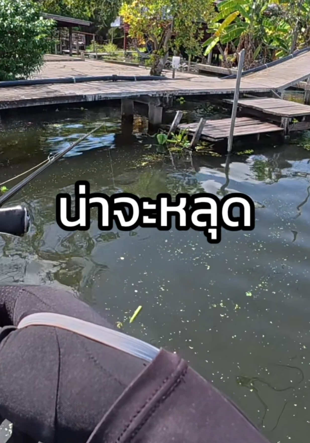 ผมที่ตั้งใจมา skipping ปลาชะโด แต่ตัวที่กัดกับไม่ใช่😂 #พริ้มjerry