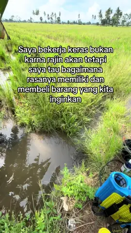 #fyp #fyppppppppppppppppppppppp #bugistiktok #sulawesiselatan 