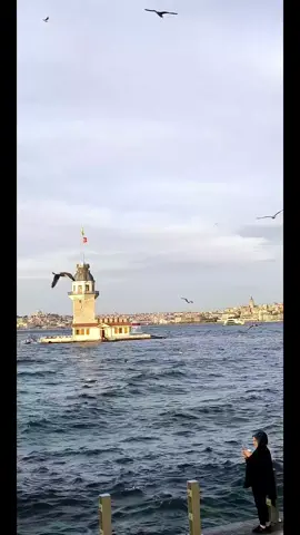 Edirne ve İstanbul'dan kareler  #LIVEFest2025 