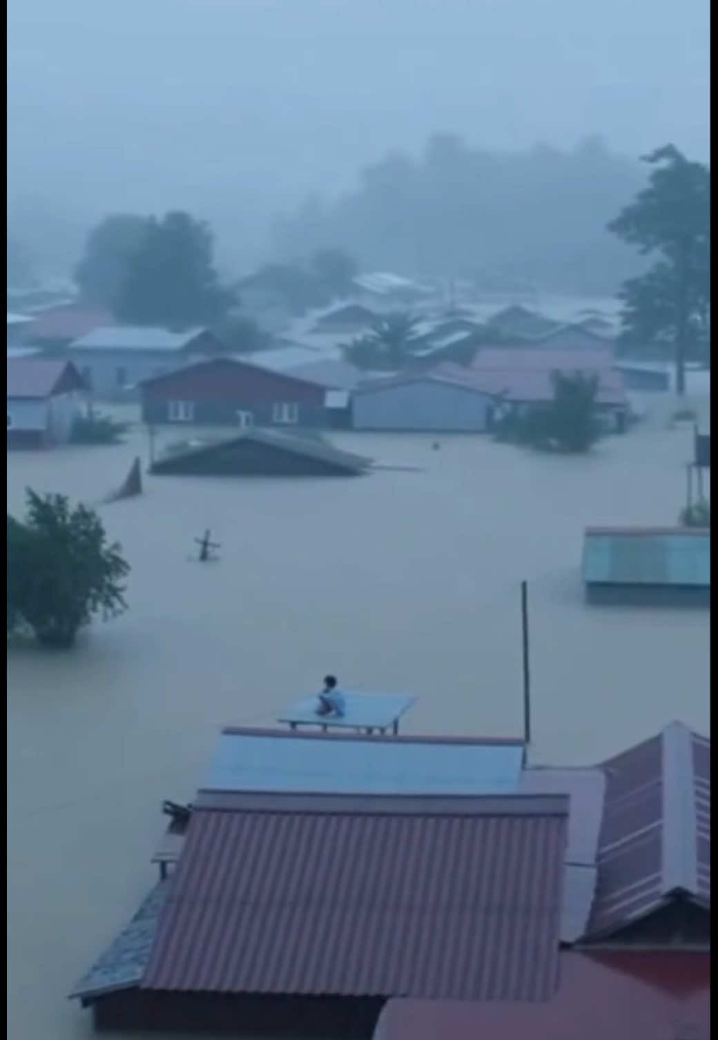 🙏🙏🙏🥹🥹#miềntrung#nhatrang #bãolụtmiềntrung#mưachieumientrung #tancomuachieumientrung