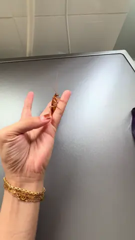 Too clingy to handle 🫠