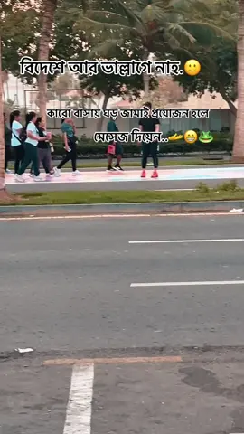 জামাই প্রয়োজন হলে মেসেজ দিয়েন কিন্তু।😌🫶🐸...