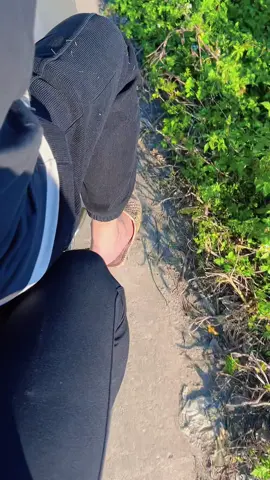 Hơi lãng mạn nha mấy ní. Có ai ước dc như vậy không