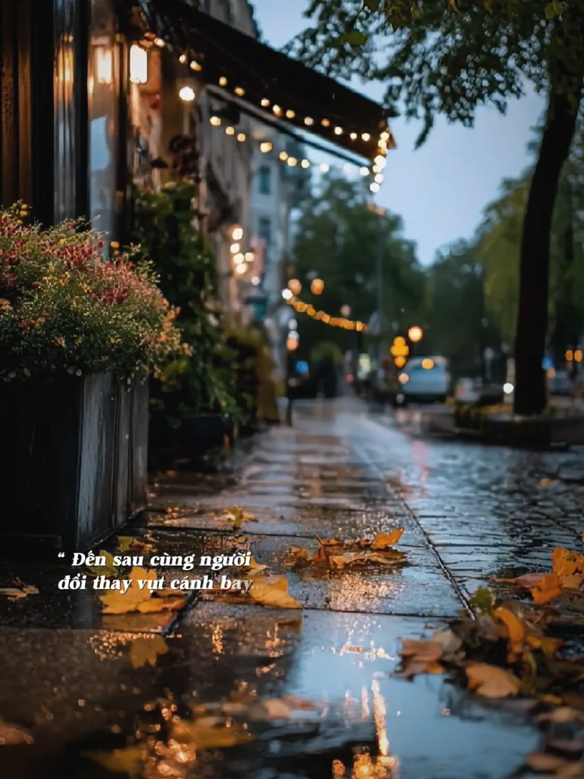 Đời em vương chữ lỡ lỡ đắm say lỡ yêu đậm sâu... #nhachaymoingay #gioemkhocnuocmatailau #nữ 